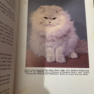 Persian Cats and Other Longhairs (Jeanne A. Ramsdale - 1964) hardcover