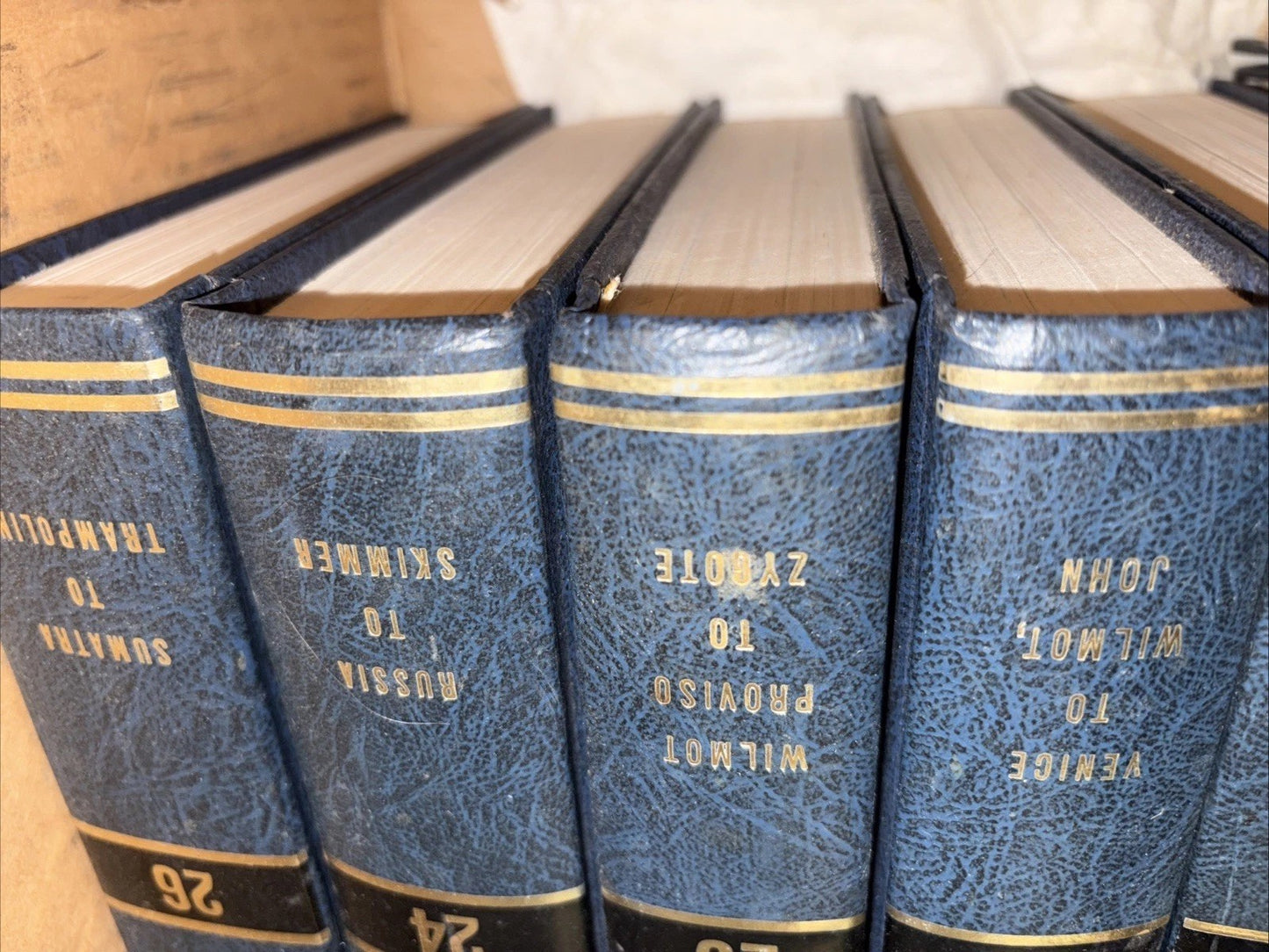 THE ENCYCLOPEDIA AMERICANA 1982 EDITION 14 Volumes Starter Set Incomplete C Pics