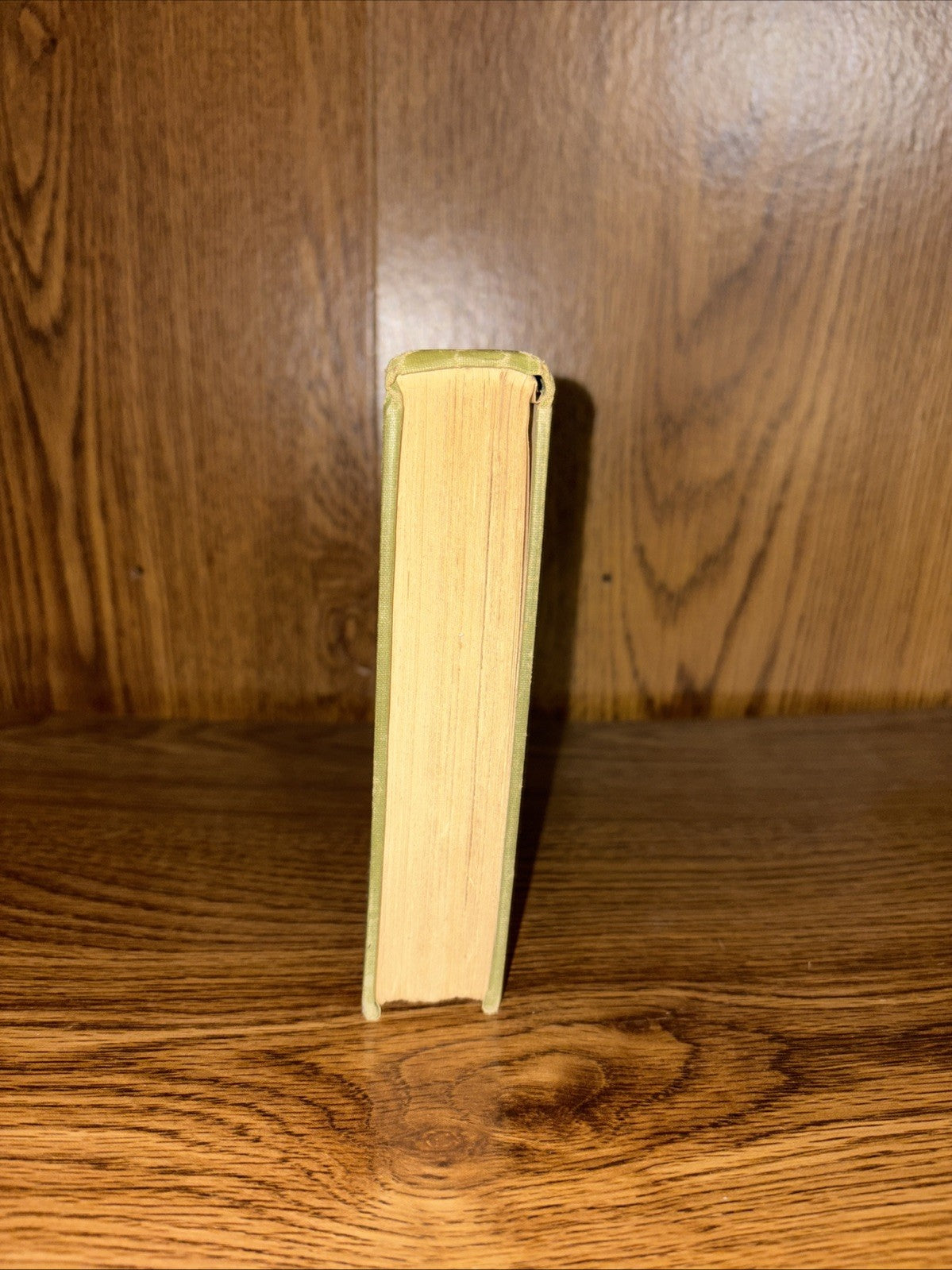 MOBY DICK antique FIRST EDITION whaling HERMAN MELVILLE Hunting WHALE FISHING