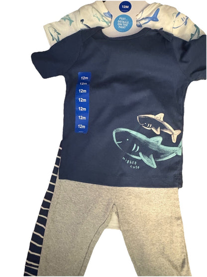 CARTER'S Boys Dinosaurs, Trucks, Cars, 4 Shirts, 4 Pants Sets, 12mo