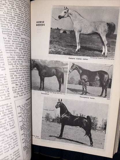 THE ENCYCLOPEDIA AMERICANA 1982 EDITION 14 Volumes Starter Set Incomplete C Pics