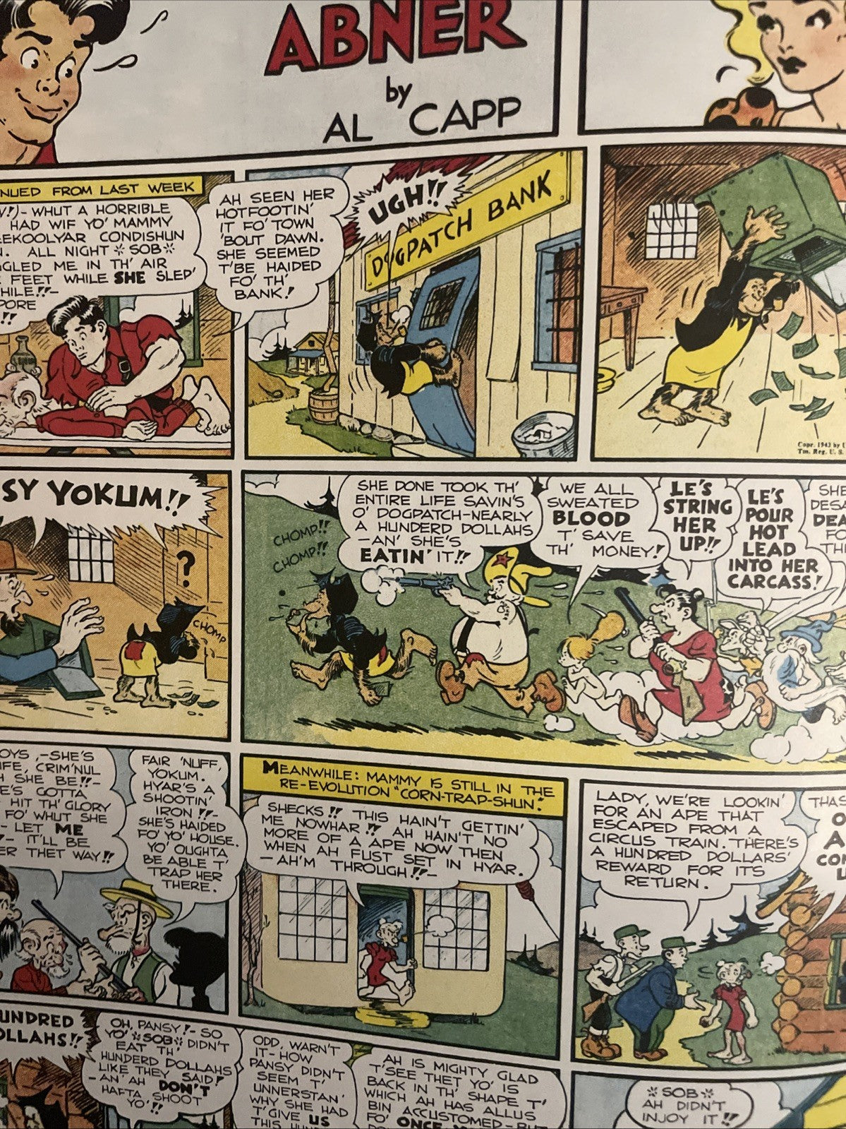 LI'L ABNER VOLUME #5 COMPLETE DAILIES & COLOR SUNDAYS FEARLESS Free Shipping